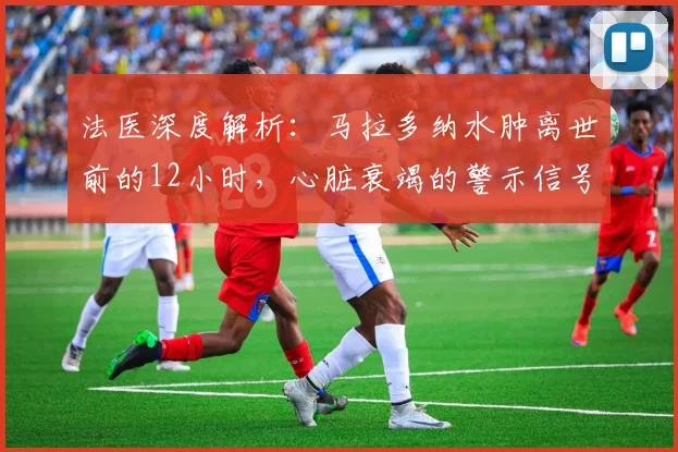 法医深度解析:马拉多纳水肿离世前的12小时,心脏衰竭的警示信号