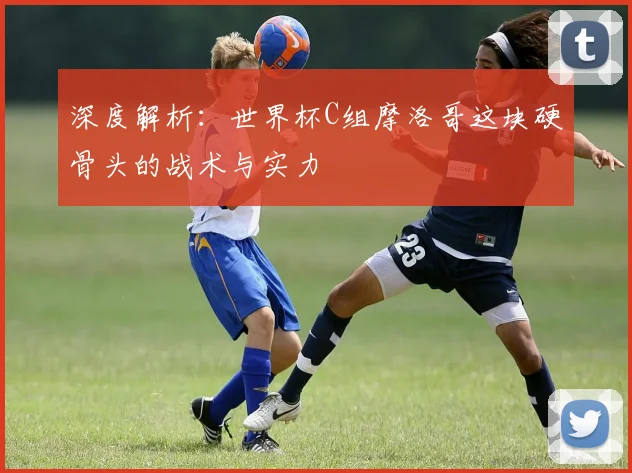 深度解析：世界杯C组摩洛哥这块硬骨头的战术与实力